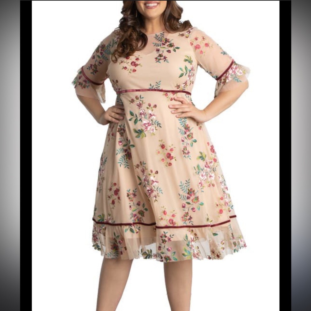 Kiyonna Dress Wildflower Sz 4X Embroidered Flowers Cottagecore Prairie Fairy